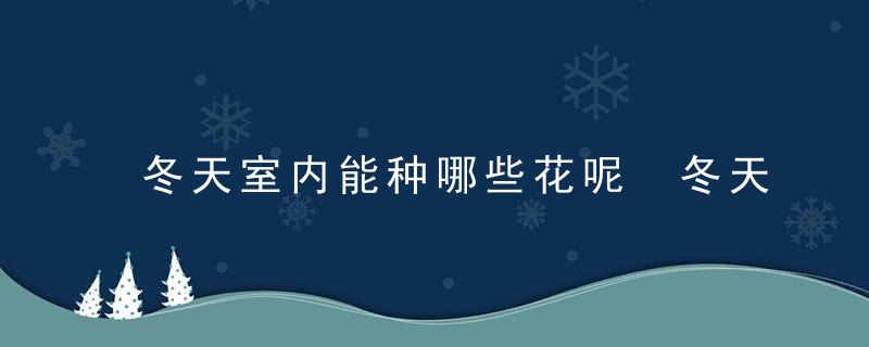 冬天室内能种哪些花呢 冬天室内种什么花好